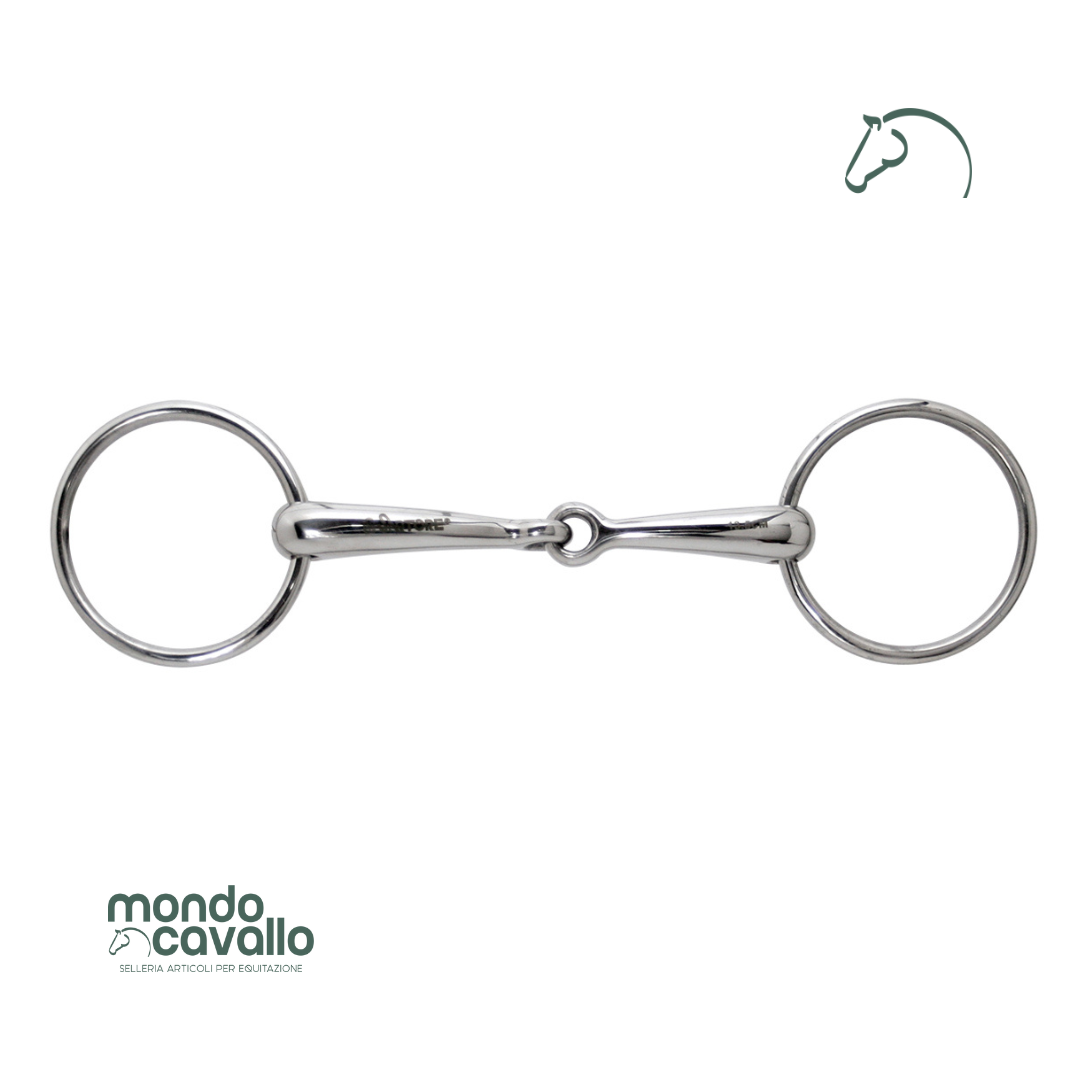 Filetto inox pienovspessore 16m