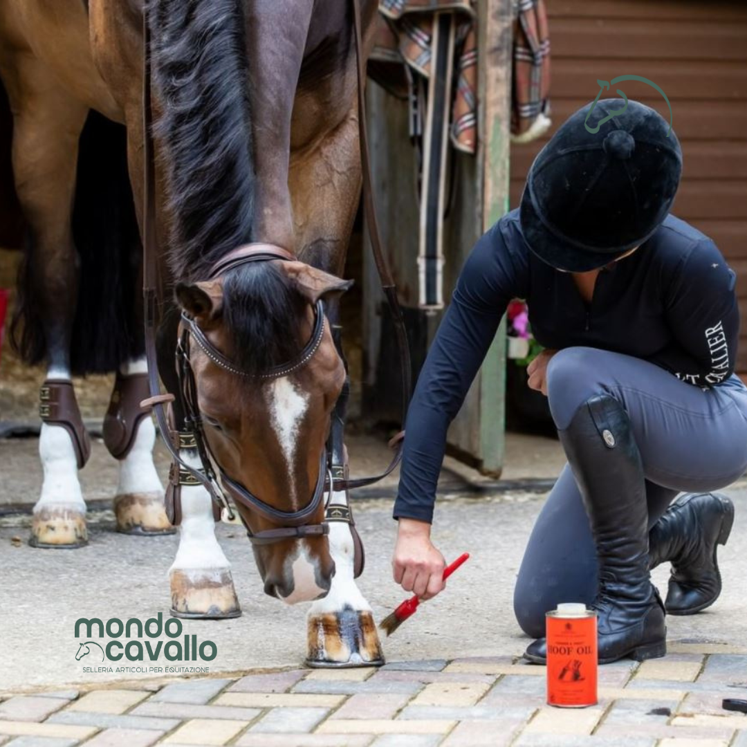 OLIO ZOCCOLI HOOF OIL CARR & DAY