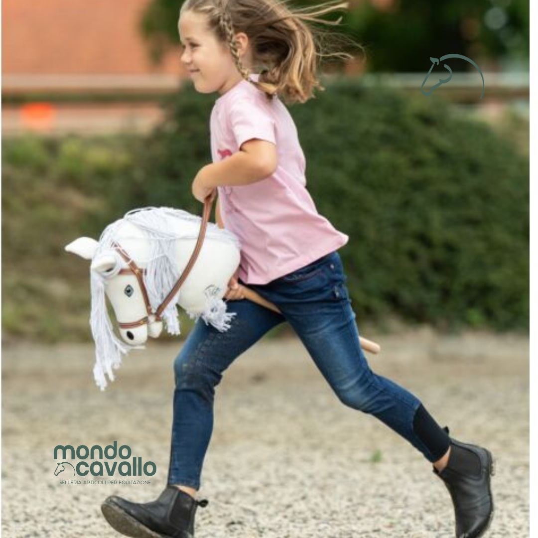HOBBY HORSE HKM