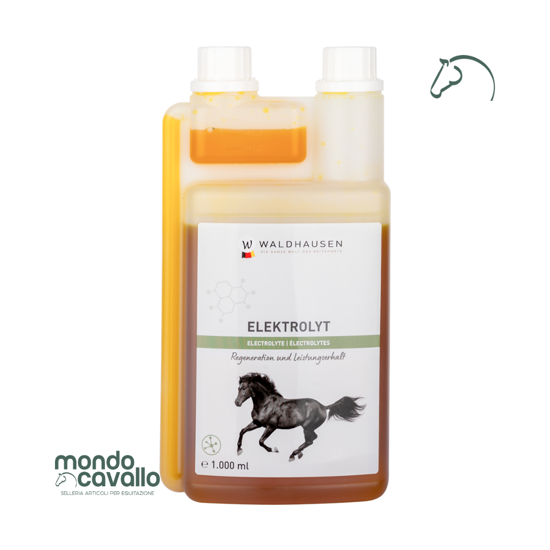 ELETTROLITI LIQUIDI 1L