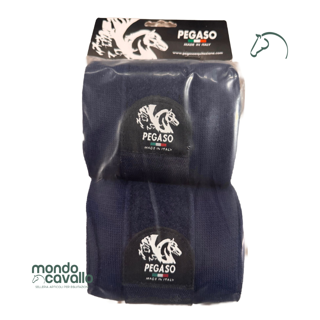 FASCE DA SCUDERIA PEGASO