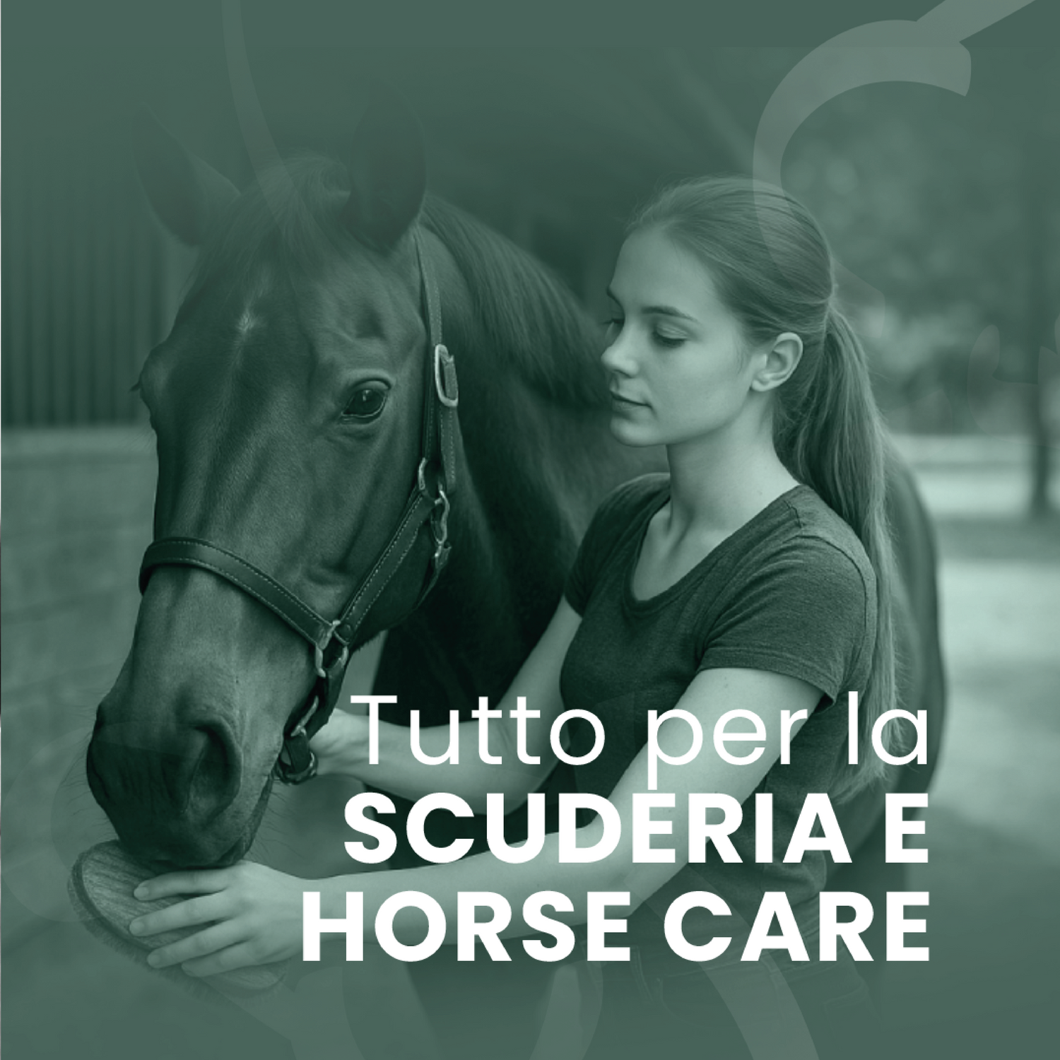 SCUDERIA E HORSE CARE