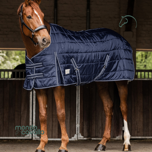 Coperta da box peso 100gr modello economico nel colore blu