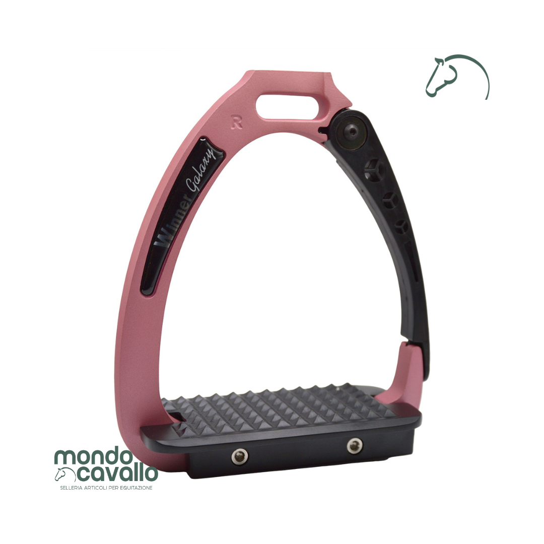 Staffe di siurezza modello galaxy marca winner colore rosa