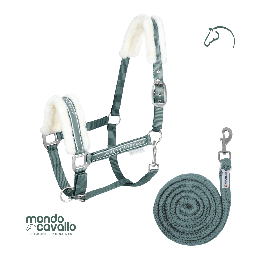 CAPEZZA E LUNGHINA ELEGANT WALDHAUSEN