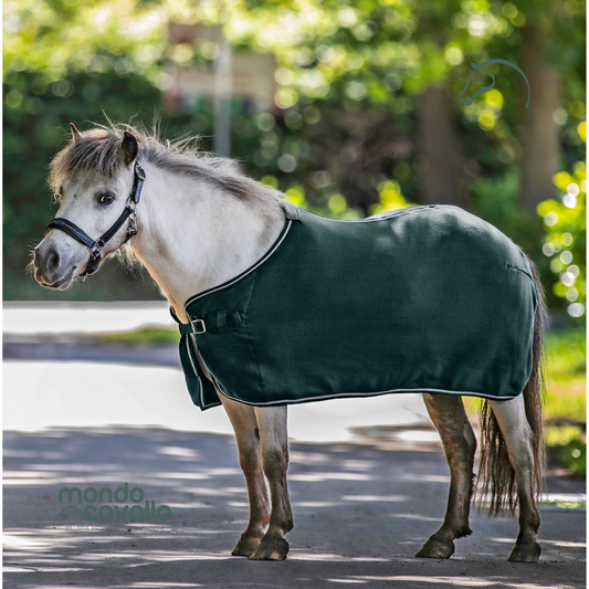 COPERTA IN PILE WALDHAUSEN