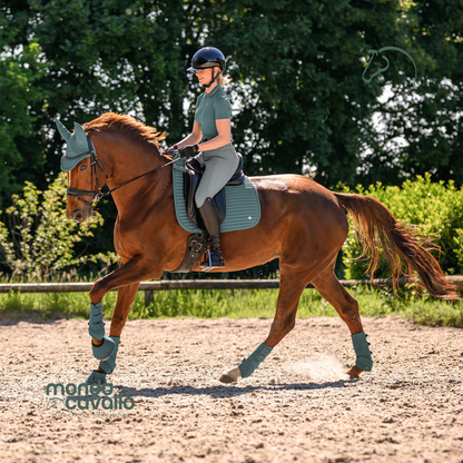 SOTTOSELLA + CUFFIA TRINIDAD WALDHAUSEN