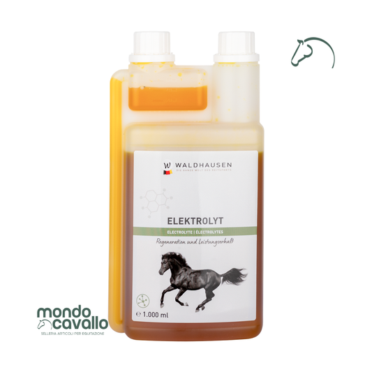 ELETTROLITI LIQUIDI 1L