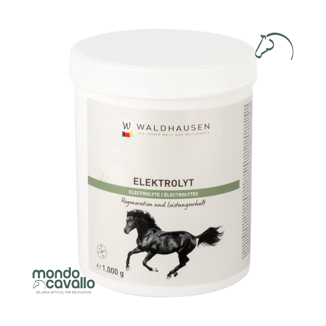 ELETTROLITI IN POLVERE 1KG