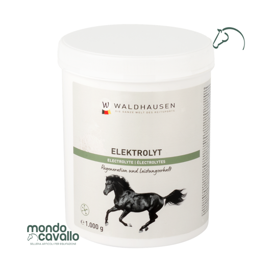 ELETTROLITI IN POLVERE 1KG