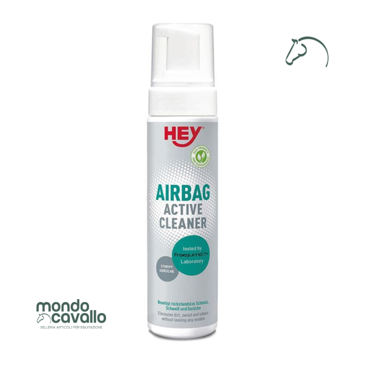 DETERGENTE AIRBAG CLEANER EFFOL