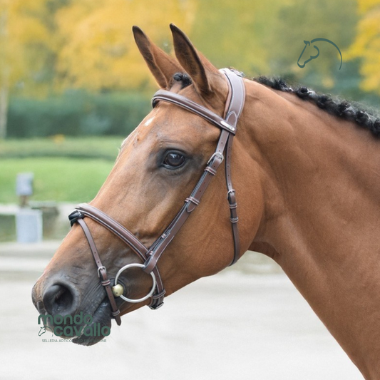 Testiera modello London di Jumpin