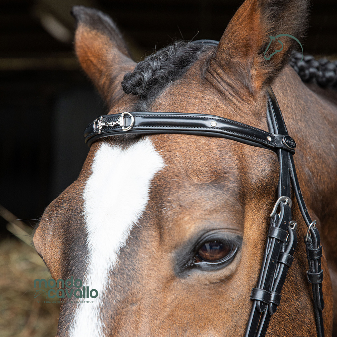 Testiera con filetto strass su frontalino marca winner