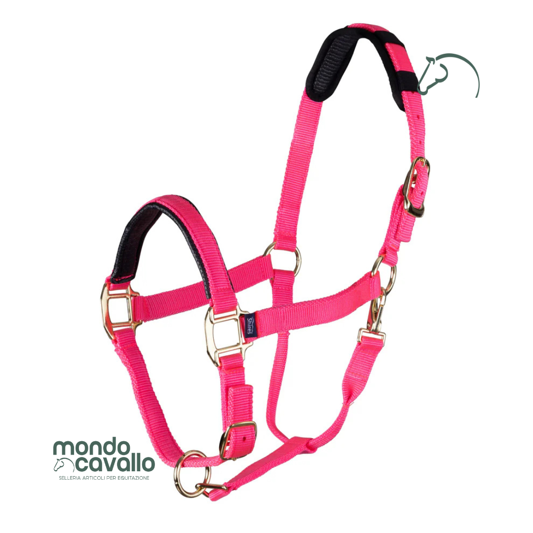 Capezza nylon marca Arma imbottita e resistente
