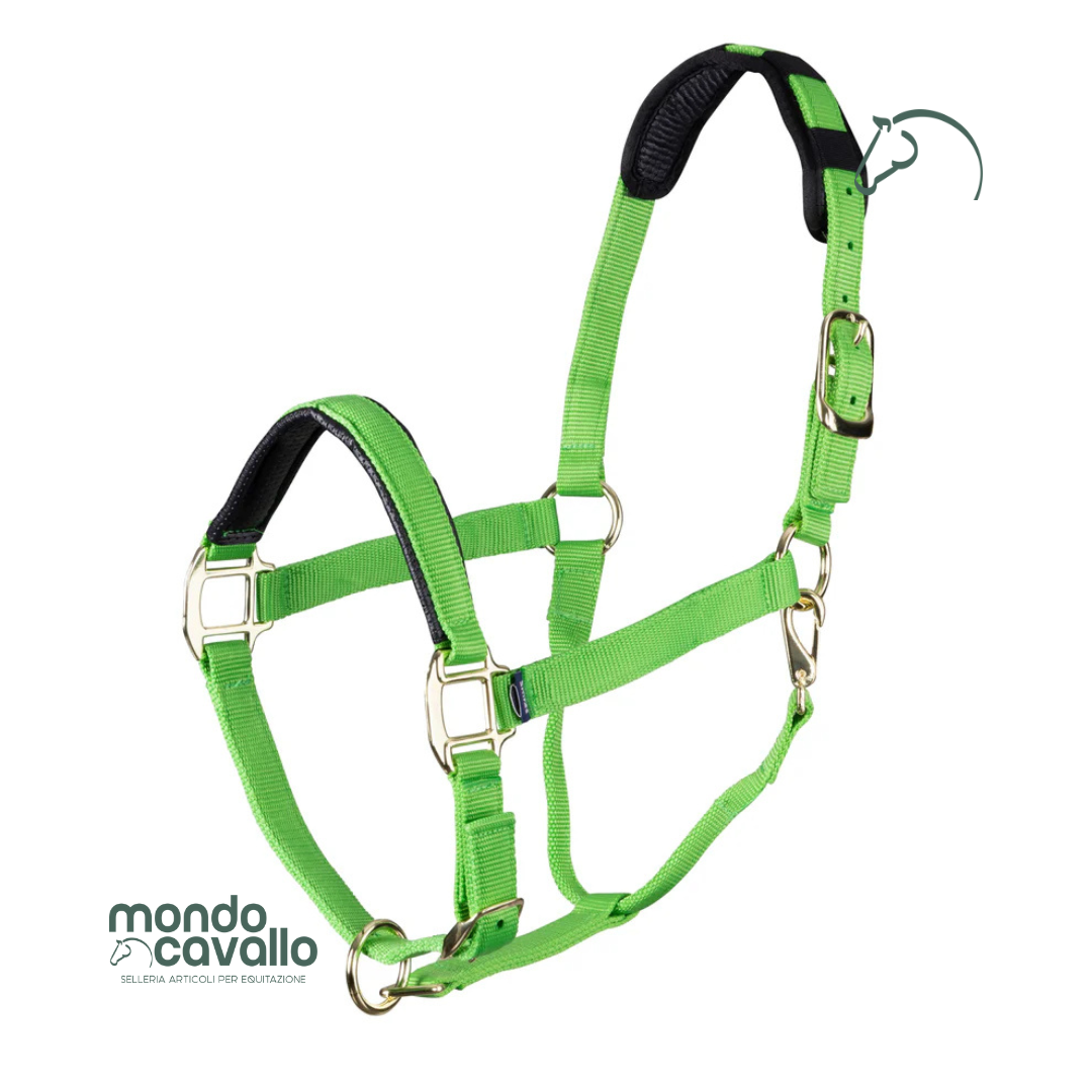 Capezza nylon marca Arma imbottita e resistente