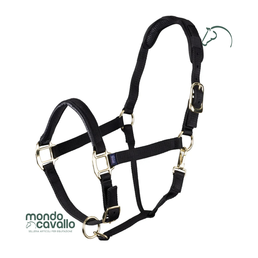 Capezza nylon marca Arma imbottita e resistente
