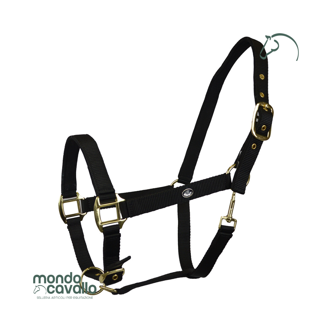 Cavezza in nylon imbottito marca winner