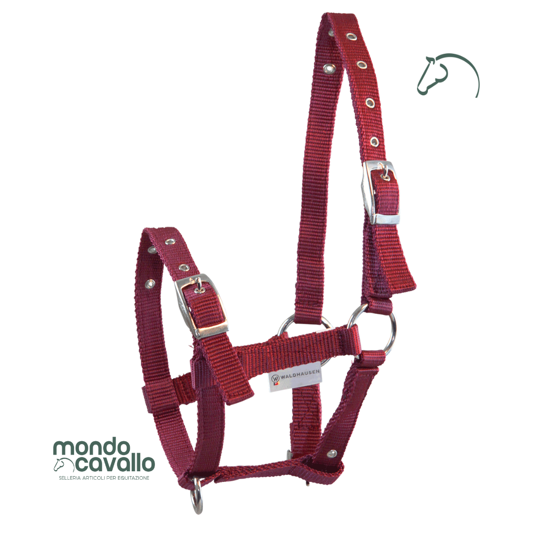 Capezza nylon per puledri con tripla regolazione