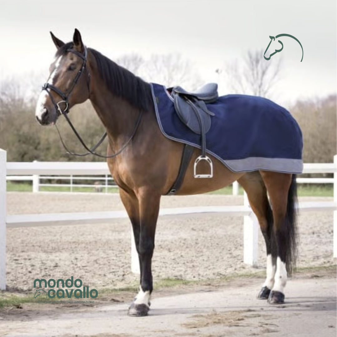 Coprireni impermeabile per cavallo colore blu