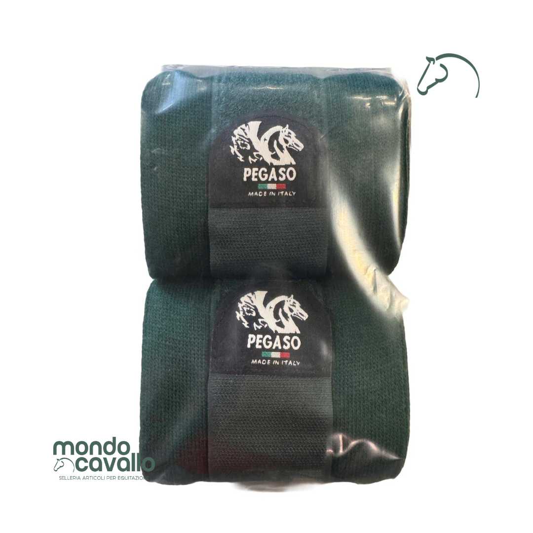 FASCE DA SCUDERIA PEGASO