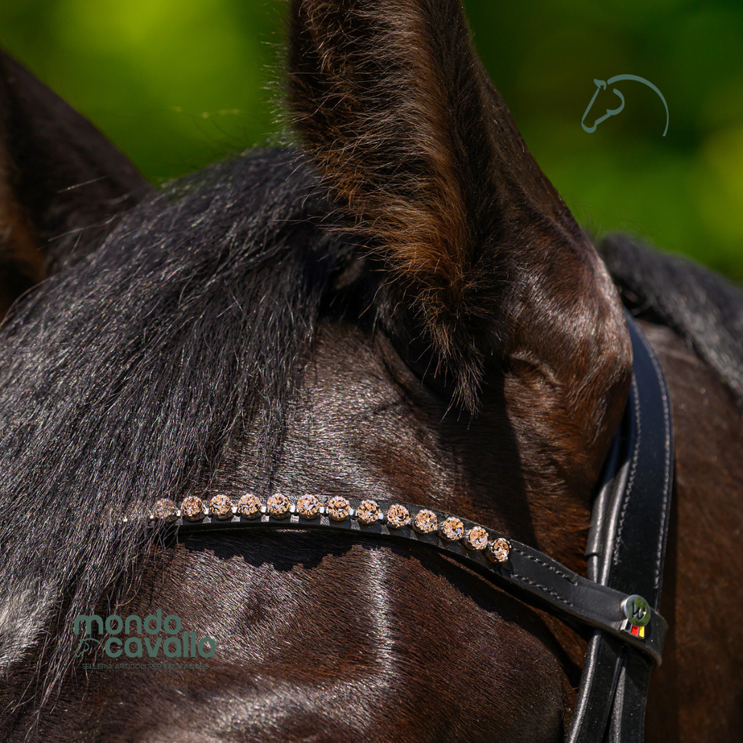 FRONTALINO X-LINE GLAM WALDHAUSEN