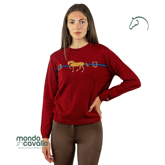 Maglione D·istinto Stripe in lana merino