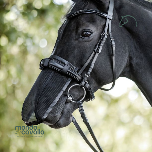 retina coprinaso per cavalli