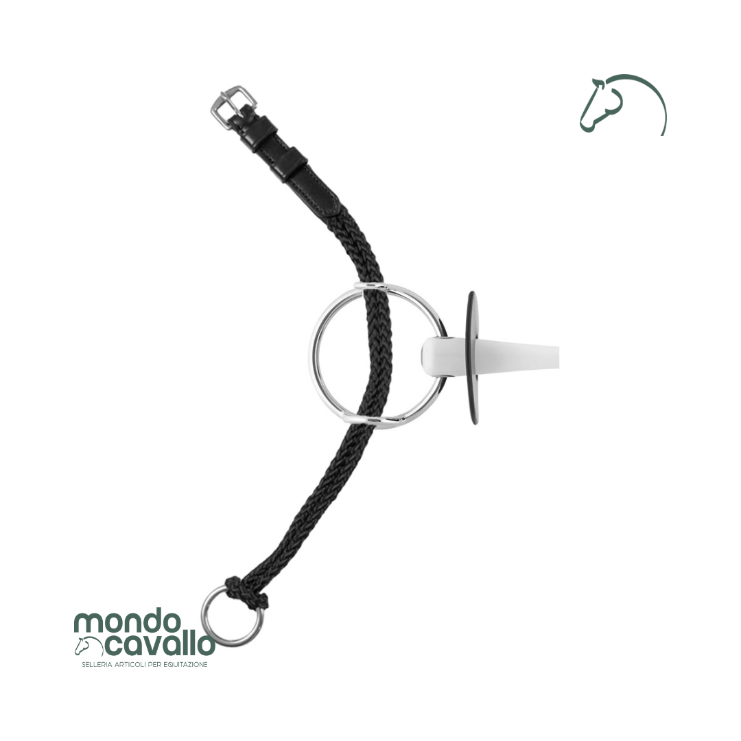 Montante per elevatore in nylon con anello