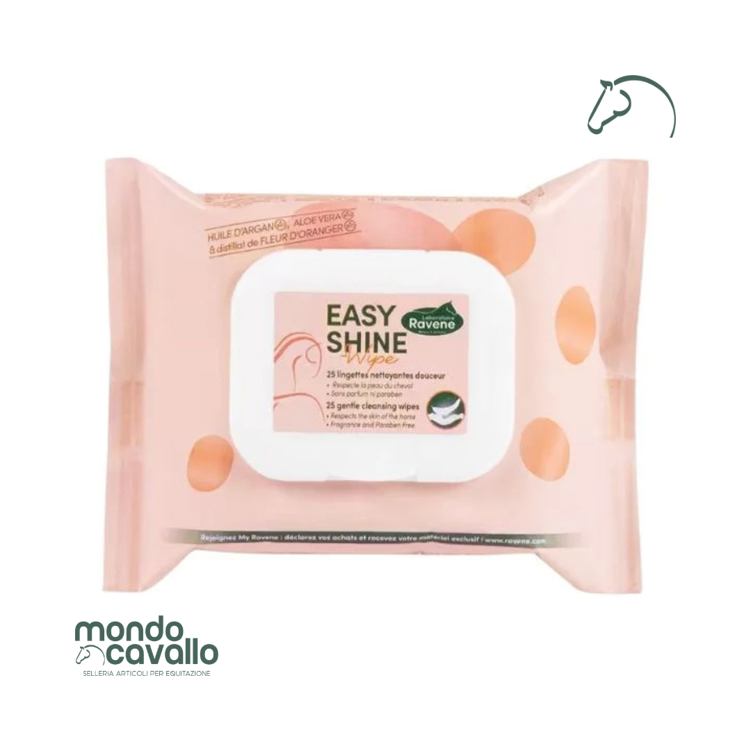 SALVIETTE EASY SHINE WIPE RAVENE