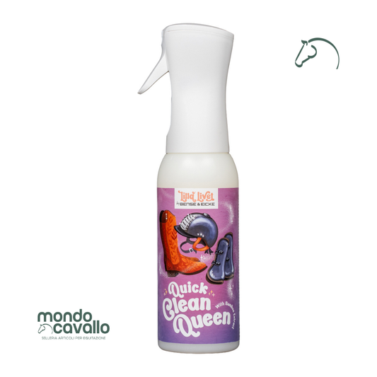 Spray per pulire diversi materiali e superfici