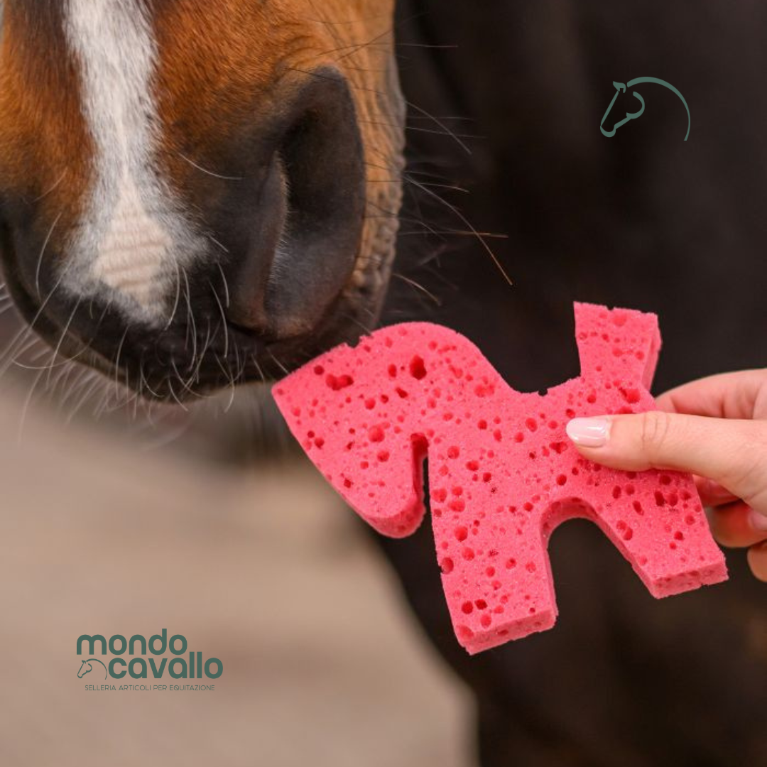 Spugnetta a forma di cavallo