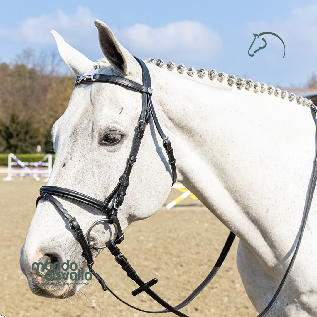 TESTIERA CON MORSO NICHELATO WINNER SPECIAL