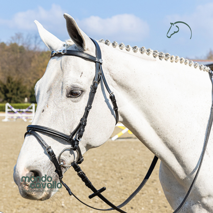 TESTIERA CON MORSO NICHELATO WINNER SPECIAL