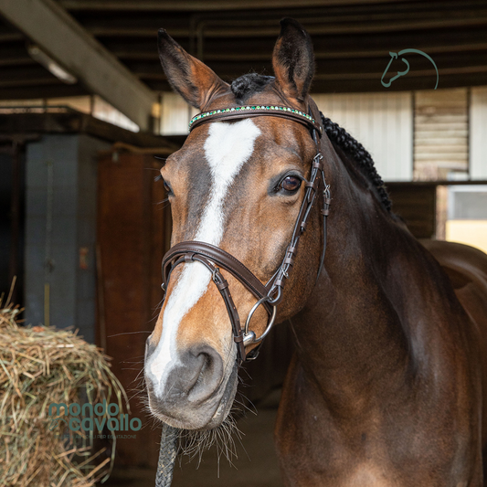 Testiera Winner con cristalli già compresa di redini in gomma